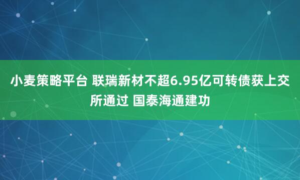 小麦策略平台 联瑞新材不超6.95亿可转债获上交所通过 国泰海通建功
